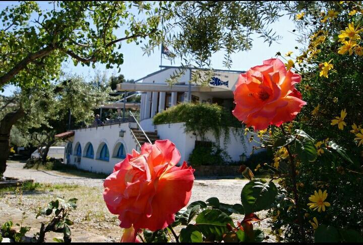 Hotel Ondina