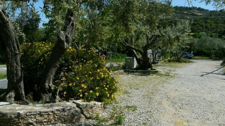 Ondina 2*
