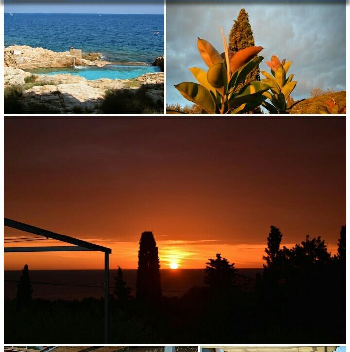Ondina Begur