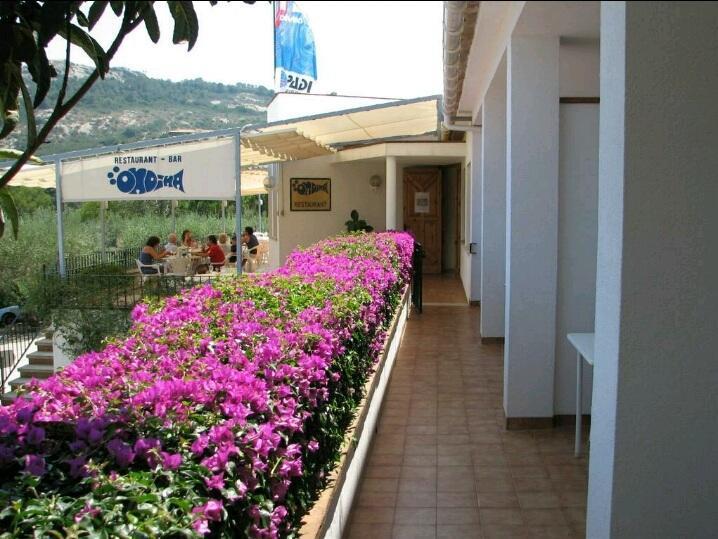 Ondina Begur