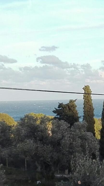 Ondina Begur