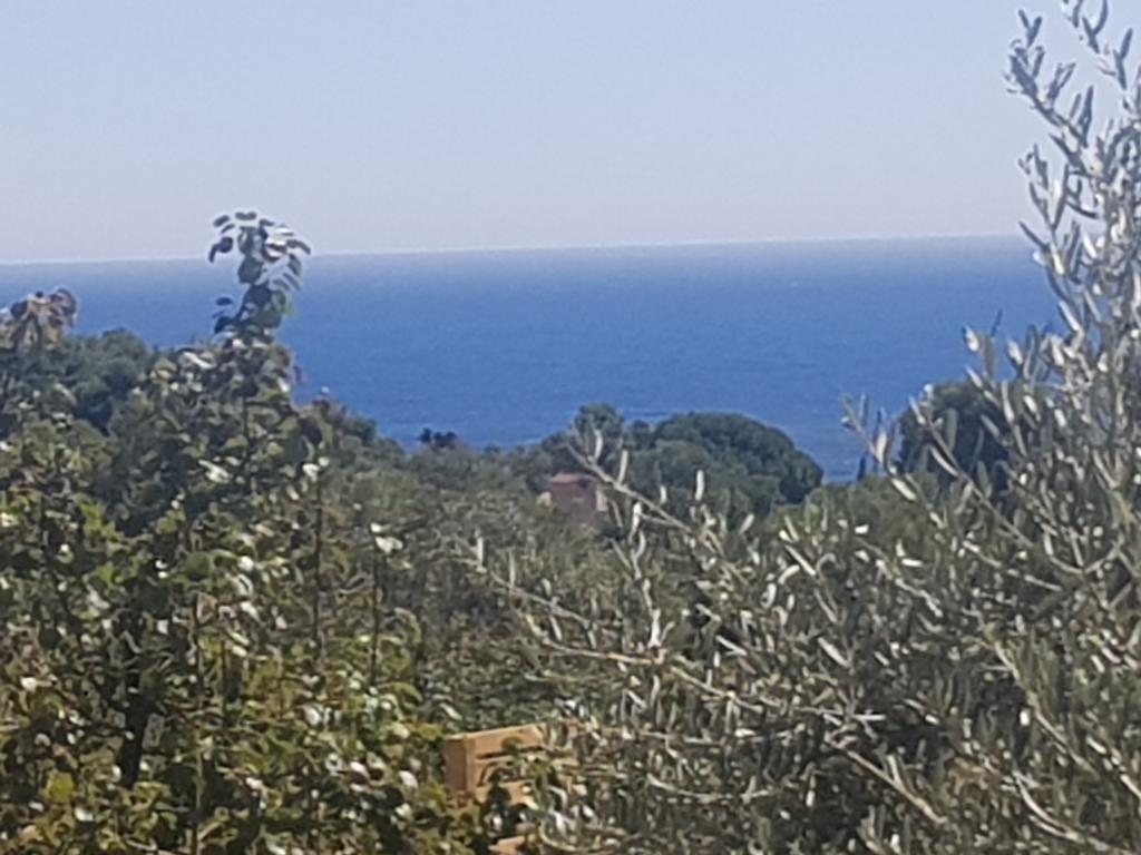 Hotel Ondina Begur