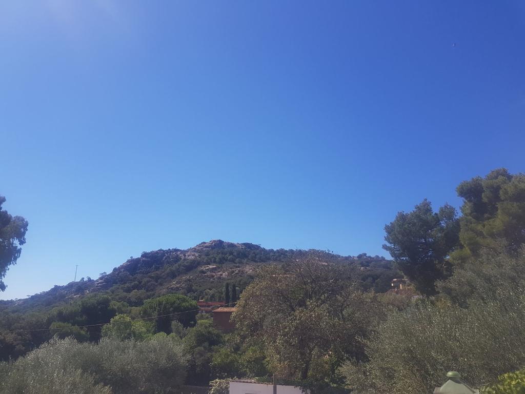 Ondina 2*
