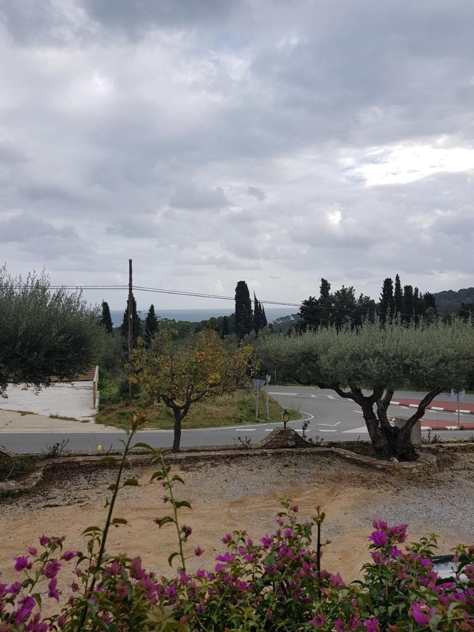 Ondina