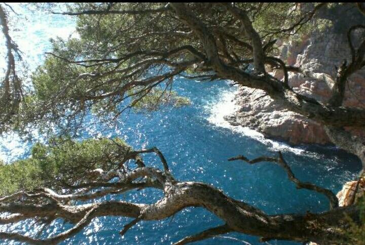 Ondina 2*